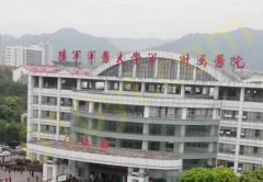 陆军军医大学士官学校附属医院整形外科效果怎么样？相关介绍带给你