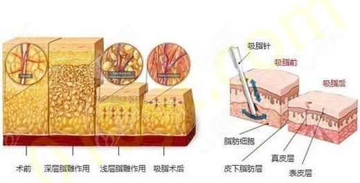 QQ浏览器截图20210910105610.png