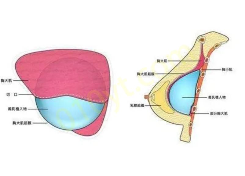 微信截图_20230815213729.png