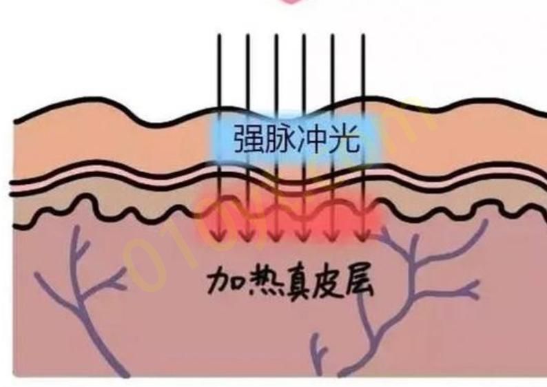 微信截图_20230816191515.png