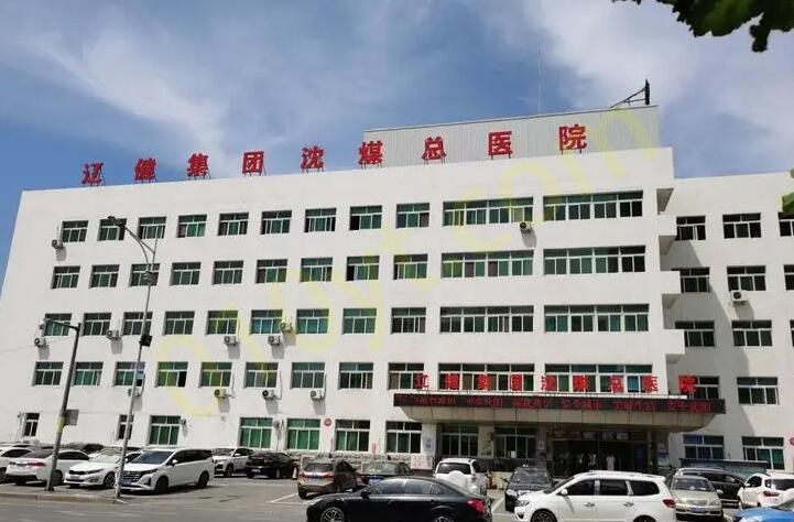 辽宁省健康产业集团阜新矿总医院.jpg