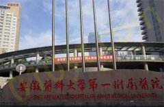 安徽医科大学第一附属医院整形科技术实力如何？口碑医生有谁？能做隆鼻吗？