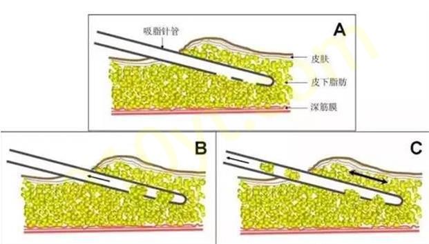 QQ浏览器截图20210910105759.png