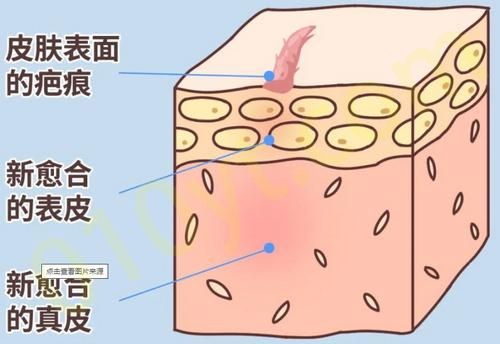 截图14657.jpg